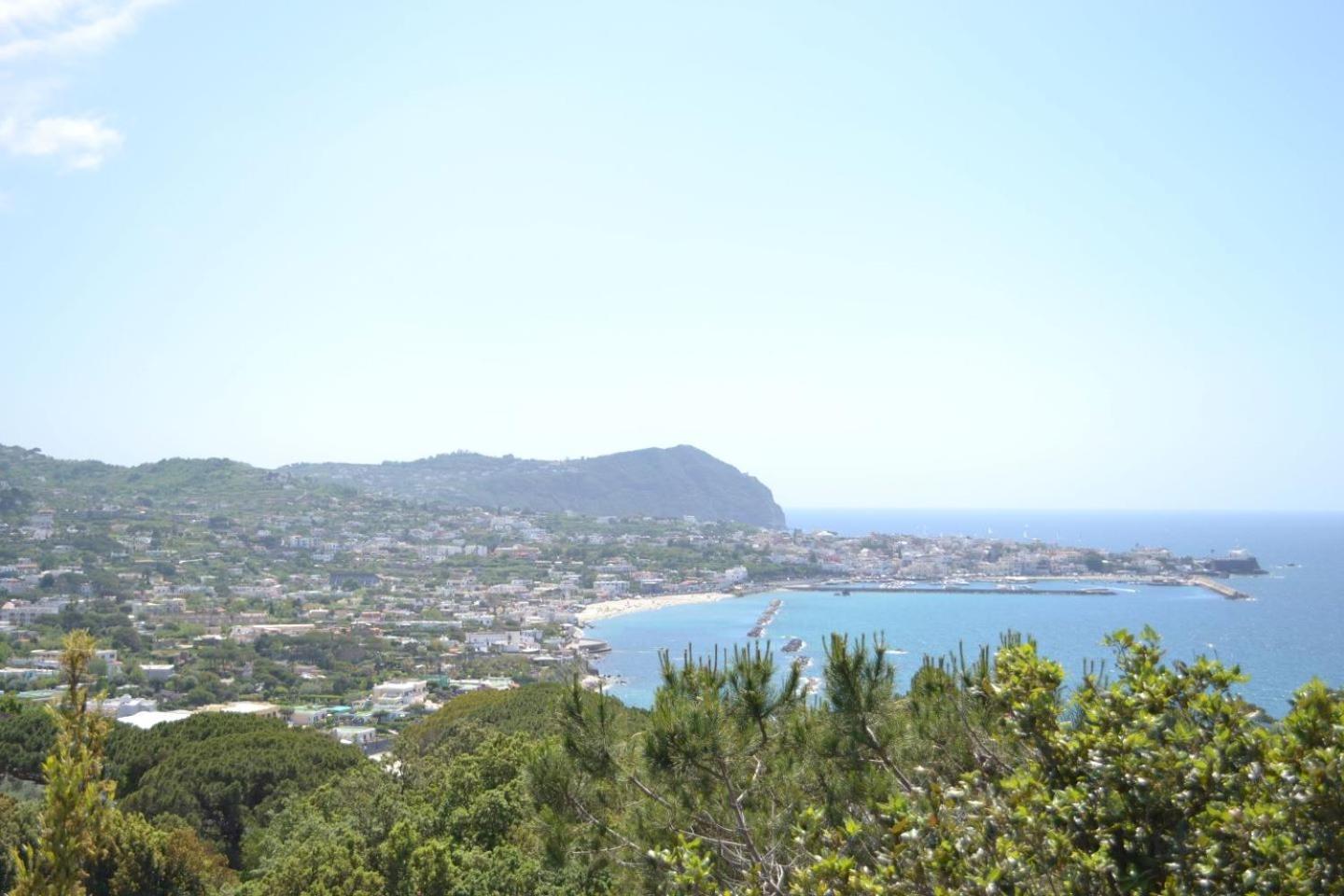 Forio Casa Villa, La Grille Du Coq 1 Il Prezzo Della E Riferito All'intero Con Il Limite Delle Persone Previste N 4 Ischia